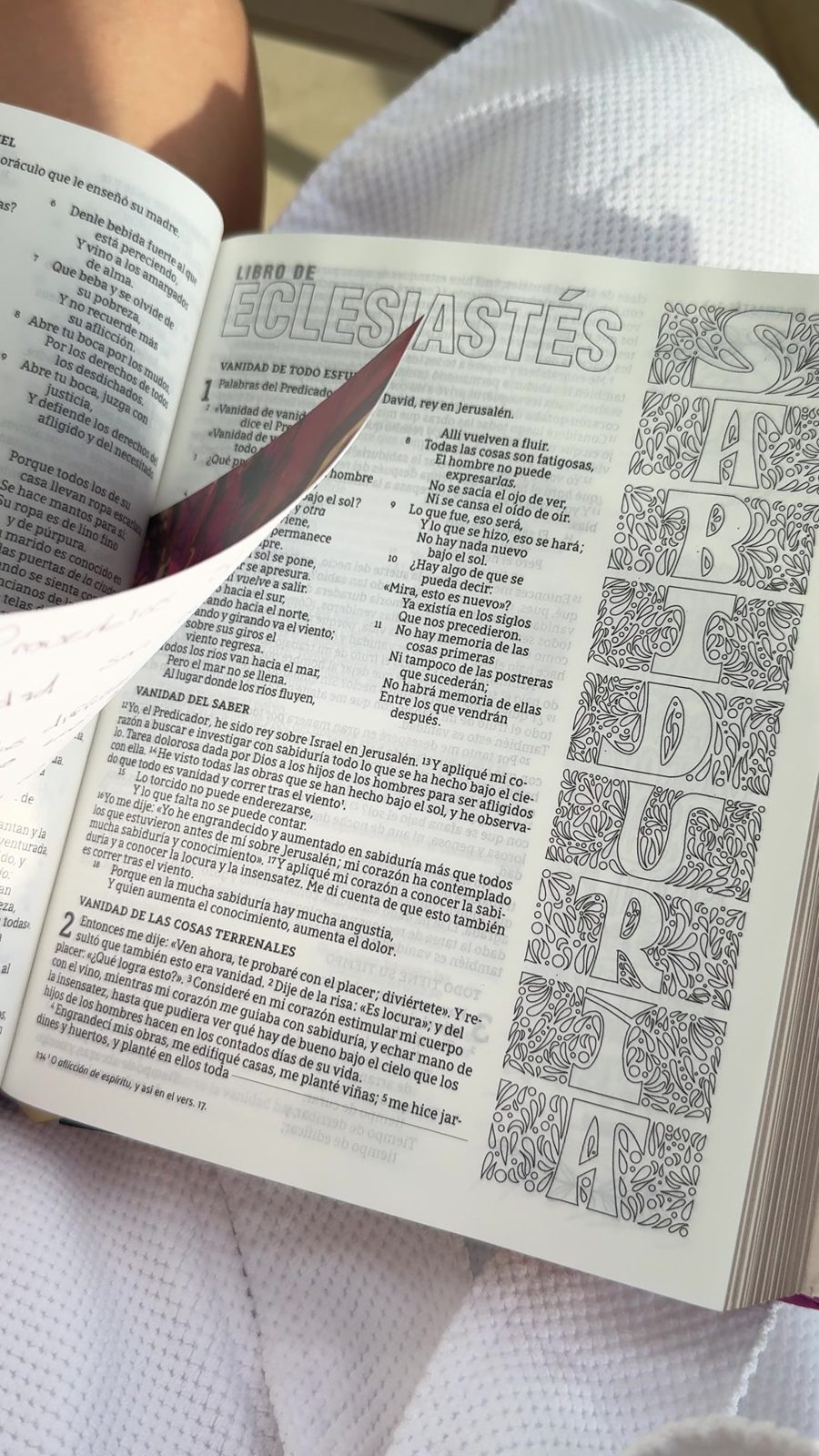 Biblia abierta